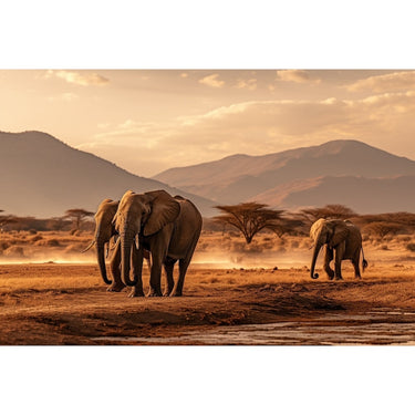 Thème Éléphant Tableau